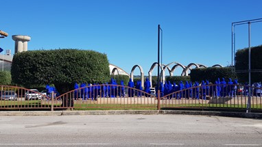 VNAzeitão - Bacalhôa