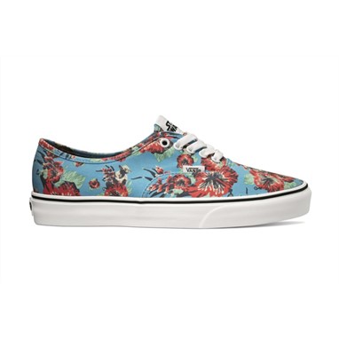 PVP 67,90€