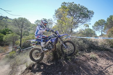 Diogo Vieira