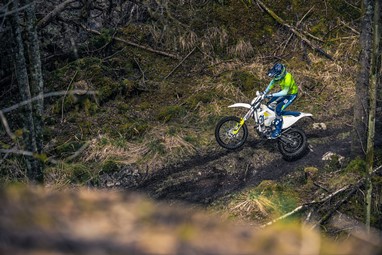 FE 350