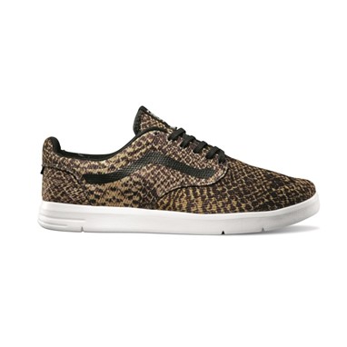 PVP: 79,90€