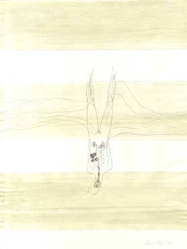 Rui Chafes "Desenho Sem Fim"