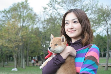"Mameshiba" ©2009 MAMESHIBA PRODUCTION COMMITTEE