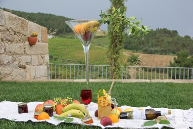 QUINTA DE FIÃES- AGROTURISMO NO DOURO