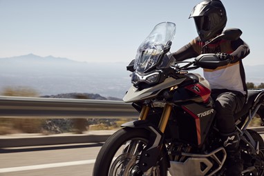 Tiger 900 Rally Pro