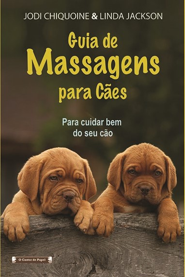 4Estações / Castor de Papel