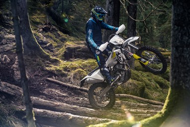 FE 350
