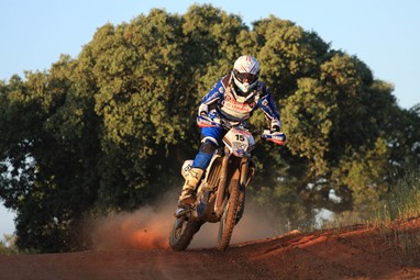 Luís Teixeira