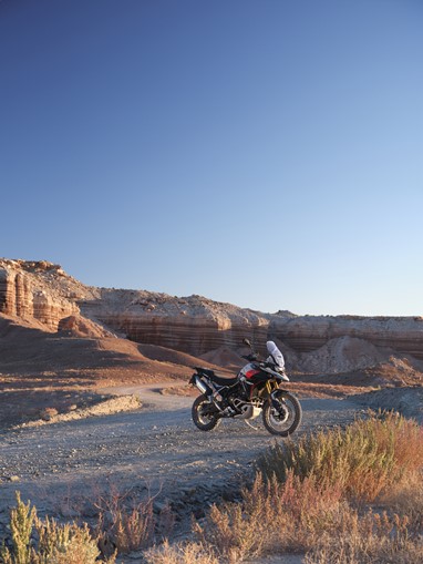 Tiger 900 Rally Pro
