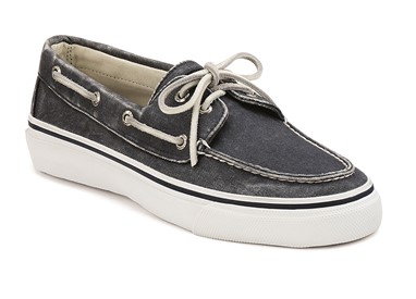 PVP - 69,90€