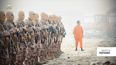 Terror Studios