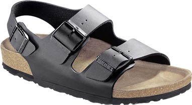 PVP - 64,90€