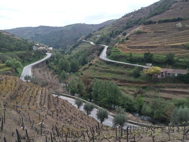 A descida para o Douro em Peso da Régua