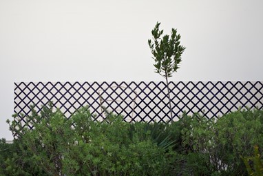 Detalhe de «Entroncamento» (2013-2014), de Carla Filipe. Fotografia: David Rato