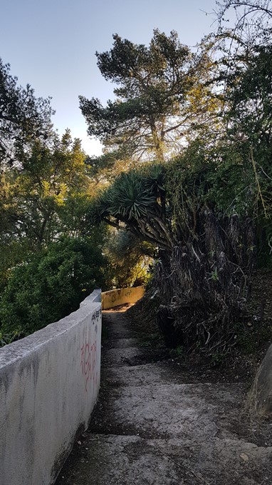 Palácio da Comenda