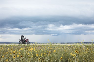 Tiger 1200 XRT