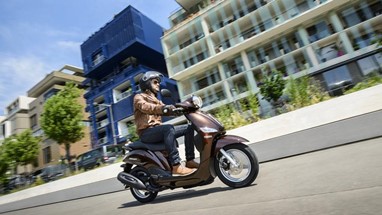 Yamaha D'elight 2014 - Magnetic Bronze