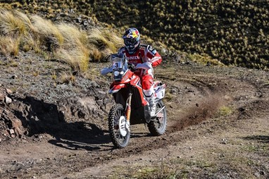 Hélder Rodrigues
