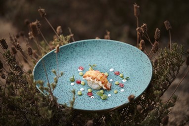 Lagostim /©Mário Ambrósio Raw Studio