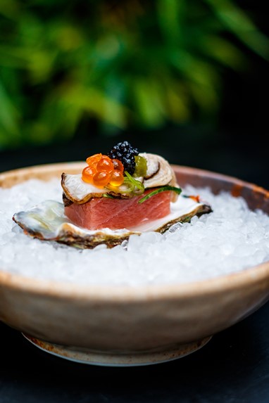 Mini Chirashi Ouriço
