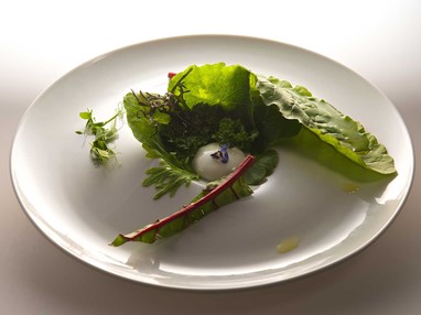 Miguel Laffan - Salada de ervas campestres com vinagrete de iogurte HISTÓRIA