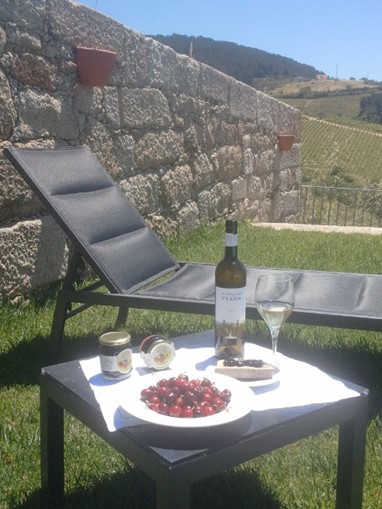 QUINTA DE FIÃES- AGROTURISMO NO DOURO