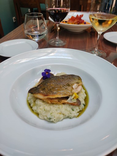 Risotto de lambrusco com ervas arom+íticas e filete de dourada braseado
