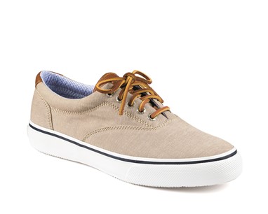 PVP - 79,90€