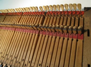 Pianoforte de Henrique van Casteel (pormenor) - Museu da Música