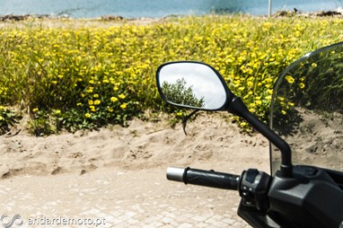 Yamaha X-Max 250