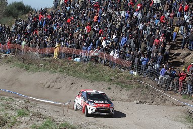 Paulo Neto