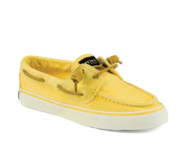 PVP - 69,90€