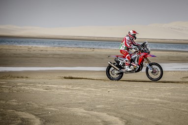 Paulo Gonçalves
