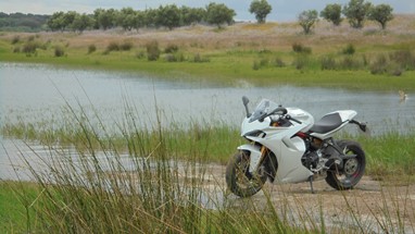 Oriola - Uma Ducati na paisagem