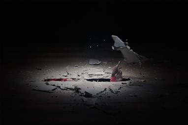 "Quarta-feira O tempo das cerejas" / © Bruno Simão