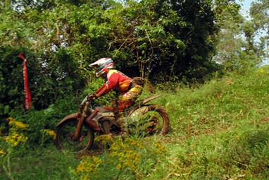 Luís Oliveira
