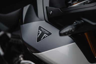Triumph Tiger 900 Rally Aragón Edition