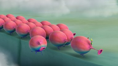 Os Smortlybacks - No cume de uma montanha um criador e a sua estranha manada de Smortlybacks fazem uma viagem surpreendente e interminável.