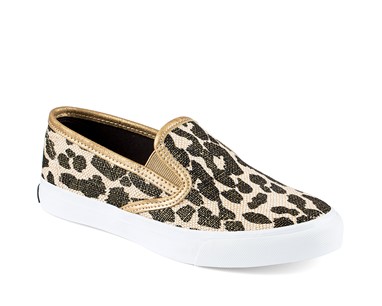 PVP - 64,90€