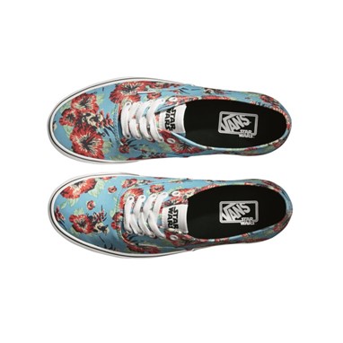 PVP 67,90€