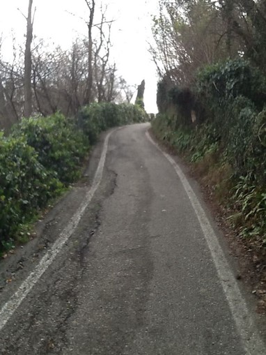 Asolo
