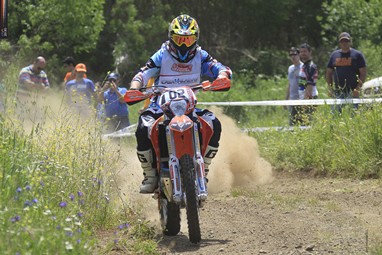Luís Ferreira