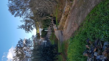 O caminho que leva à fronteira.