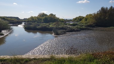 Praia da Casa Branca