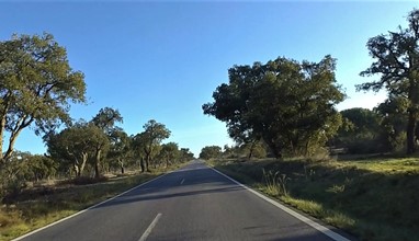  A monotonia de algumas estradas alentejanas