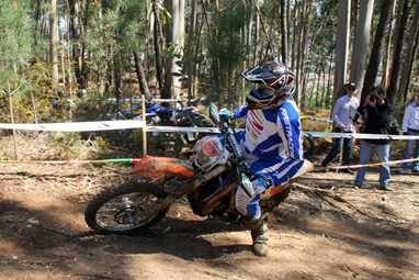 Fernando Ferreira