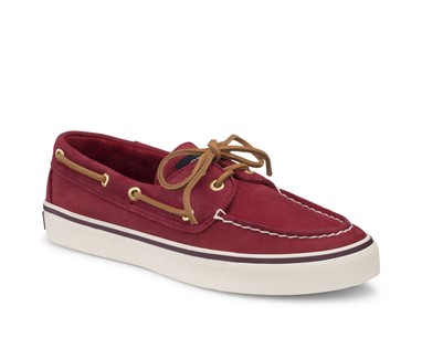 PVP - 79,90€