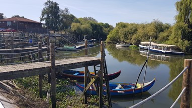 Escaroupim e Vala Real