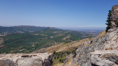 Onde conseguimos ver as águias de costas