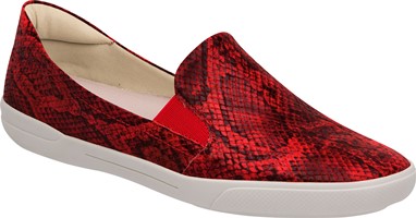 PVP - 49,90€
